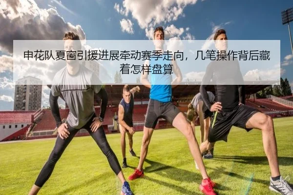 申花队夏窗引援进展牵动赛季走向，几笔操作背后藏着怎样盘算